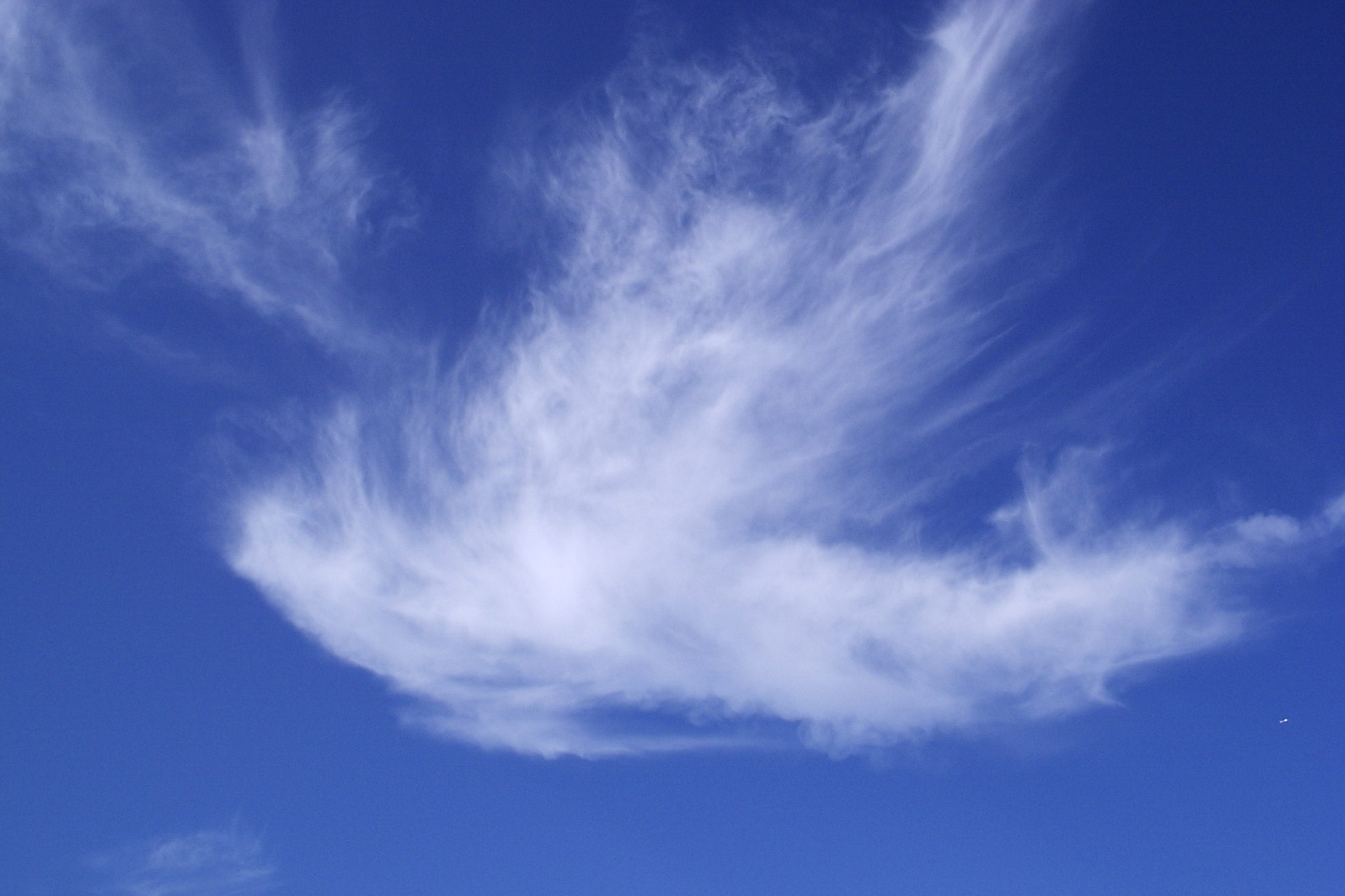 Wolken in Form einer Taube sind an einem blauen Himmel zu sehen.