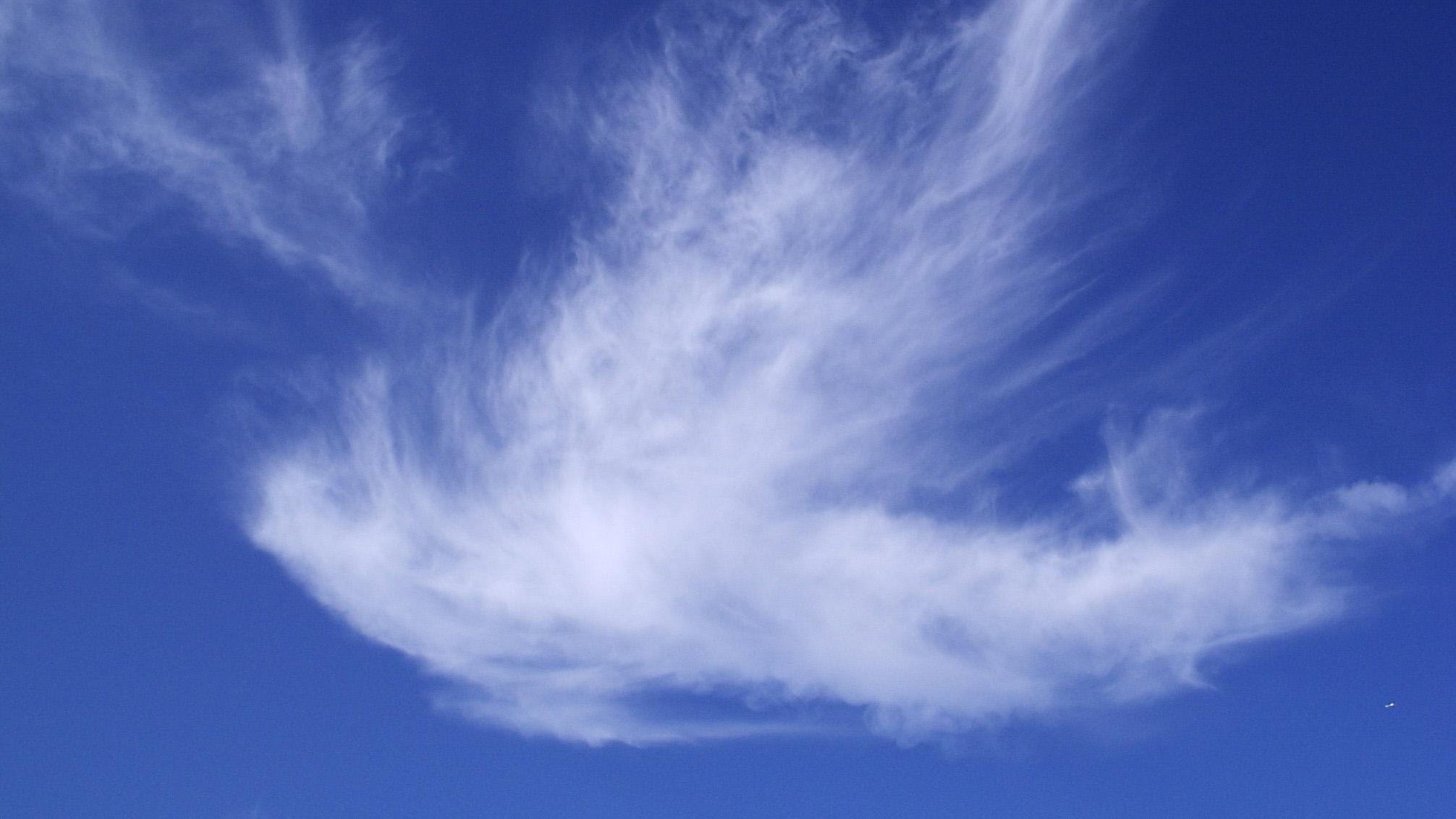 Wolken in Form einer Taube sind an einem blauen Himmel zu sehen.