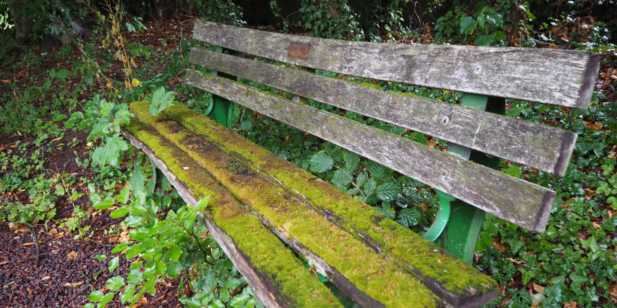 Eine alte mit Moos bewachsene Holzbank in einem Park