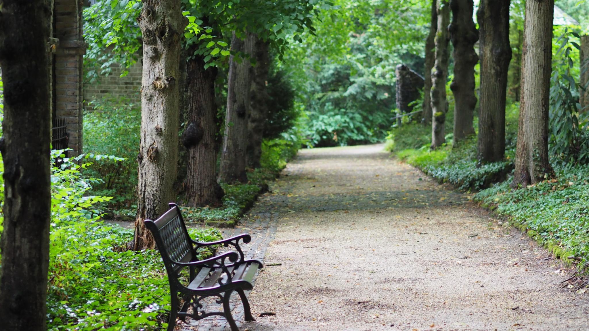 Eine Parkbank in einem Park