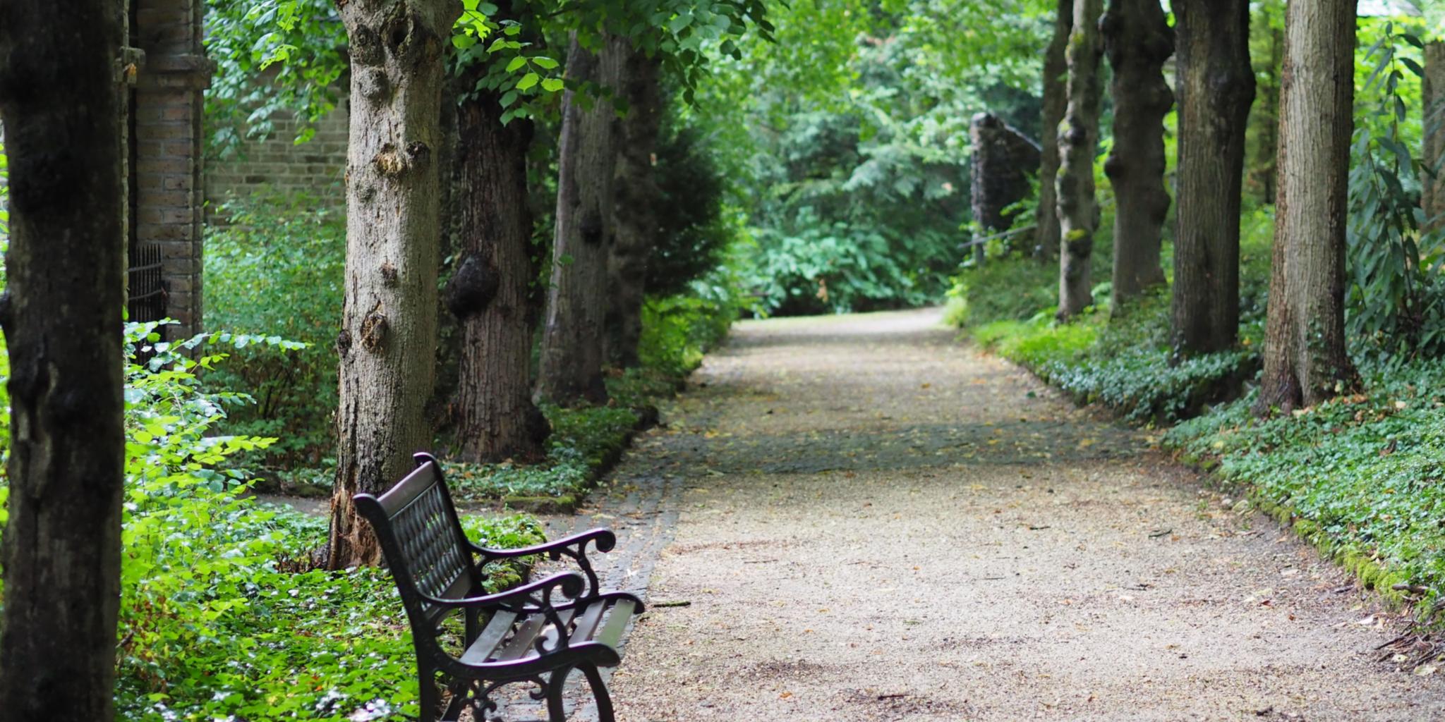 Eine Parkbank in einem Park