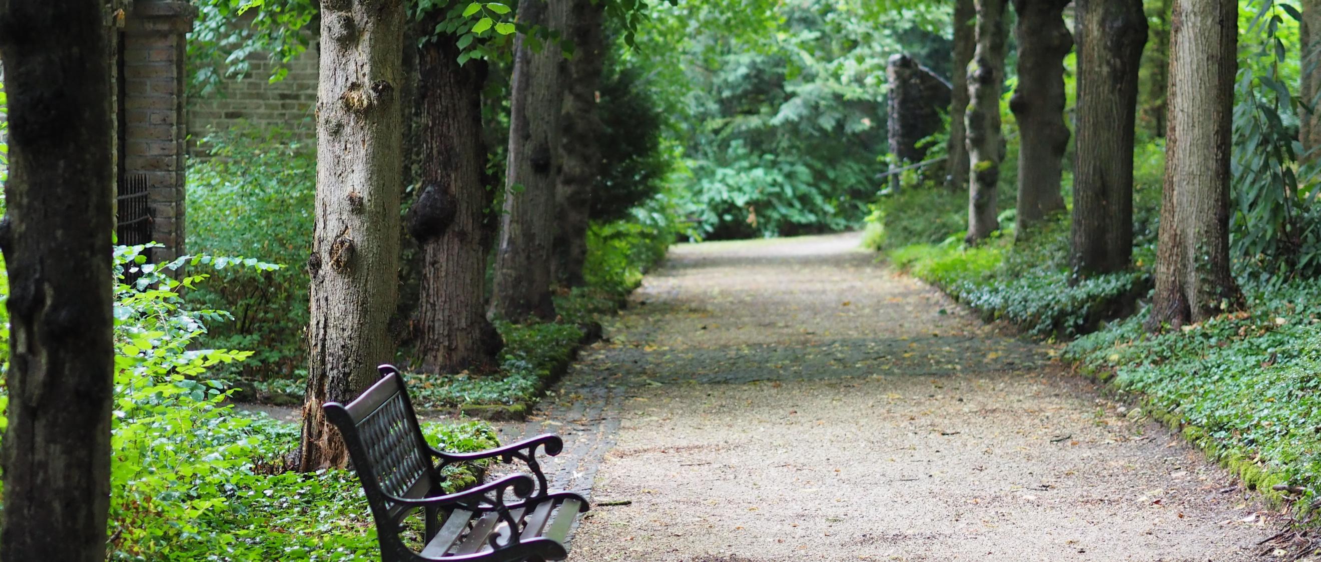 Eine Parkbank in einem Park
