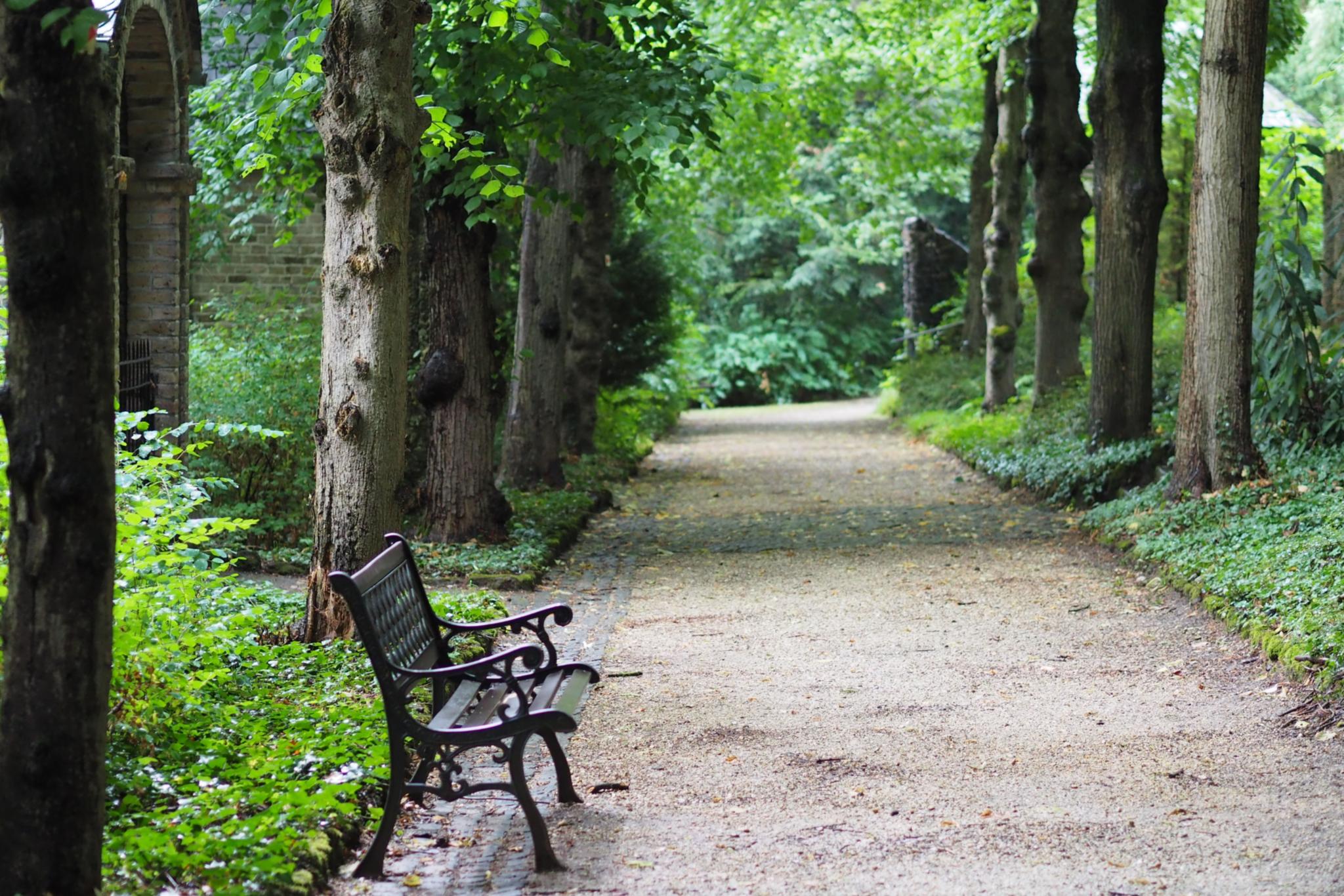 Eine Parkbank in einem Park