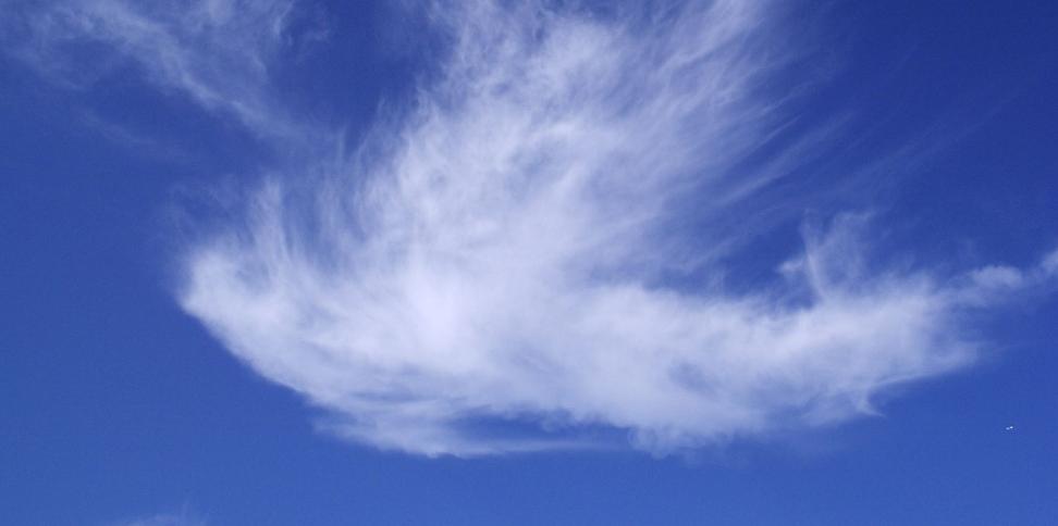 Wolken in Form einer Taube sind an einem blauen Himmel zu sehen.