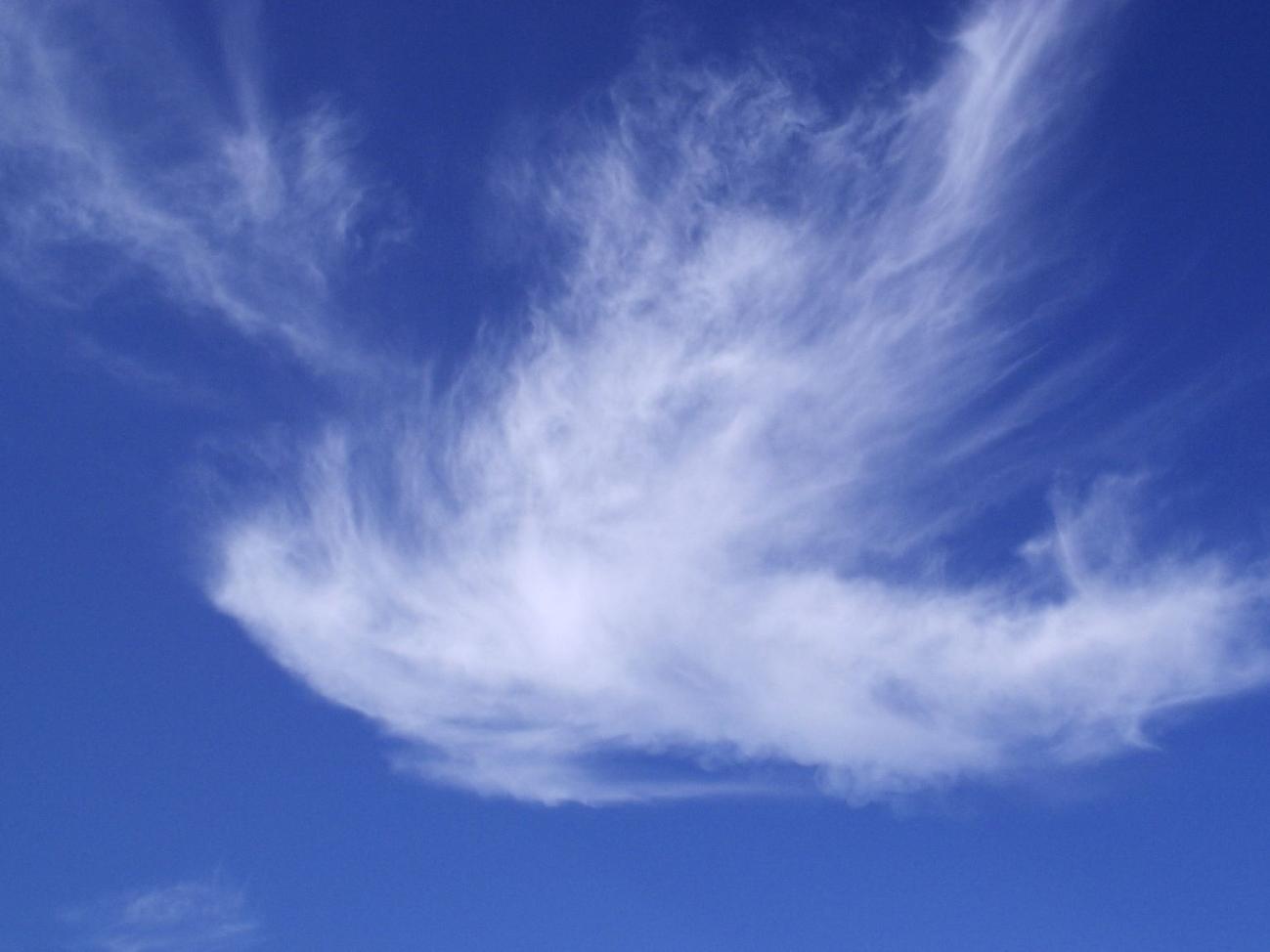 Wolken in Form einer Taube sind an einem blauen Himmel zu sehen.