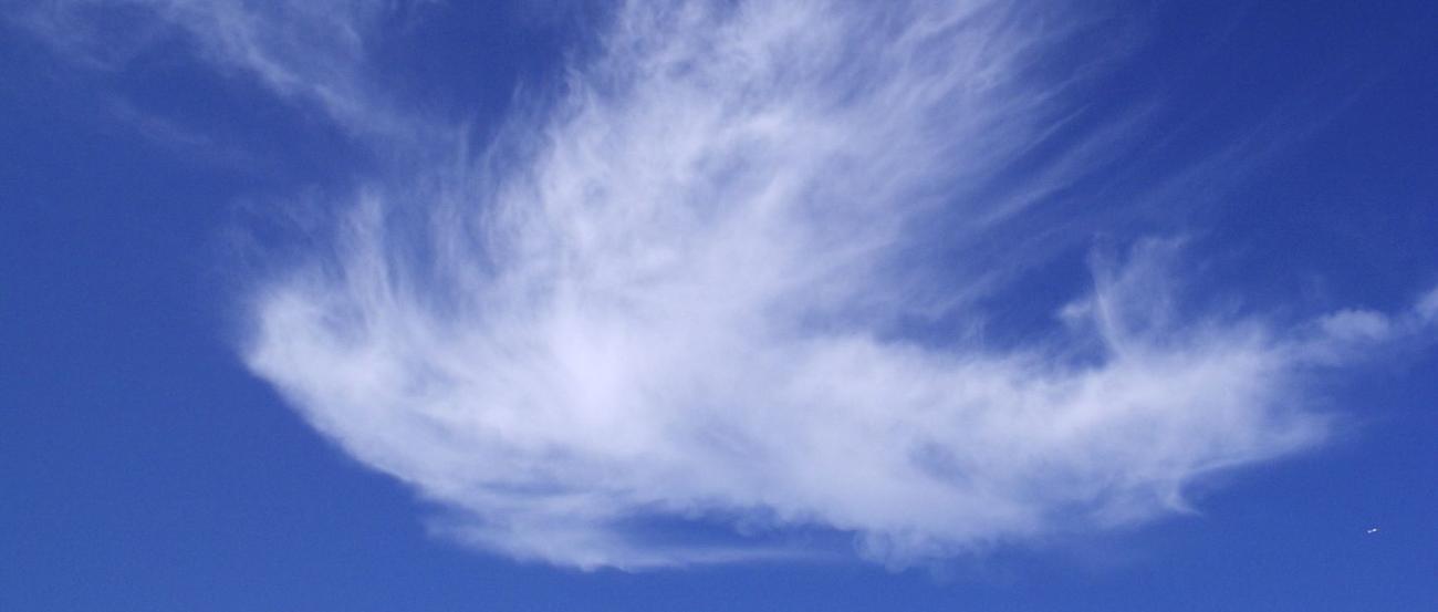 Wolken in Form einer Taube sind an einem blauen Himmel zu sehen.