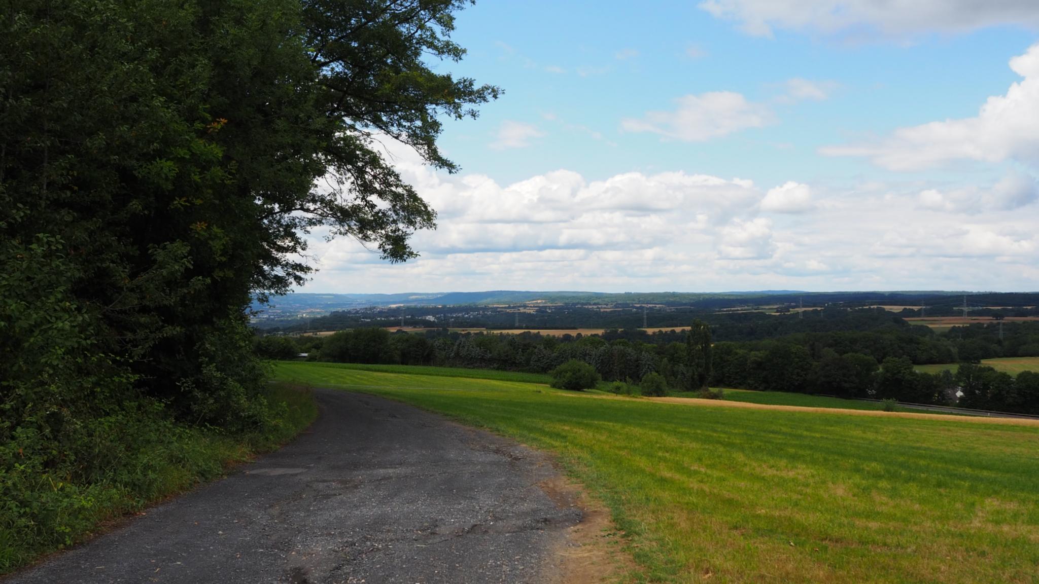 Bäume, Wiese und ein Weg in Arenberg
