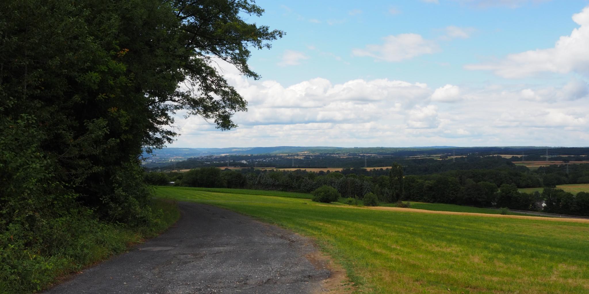 Bäume, Wiese und ein Weg in Arenberg