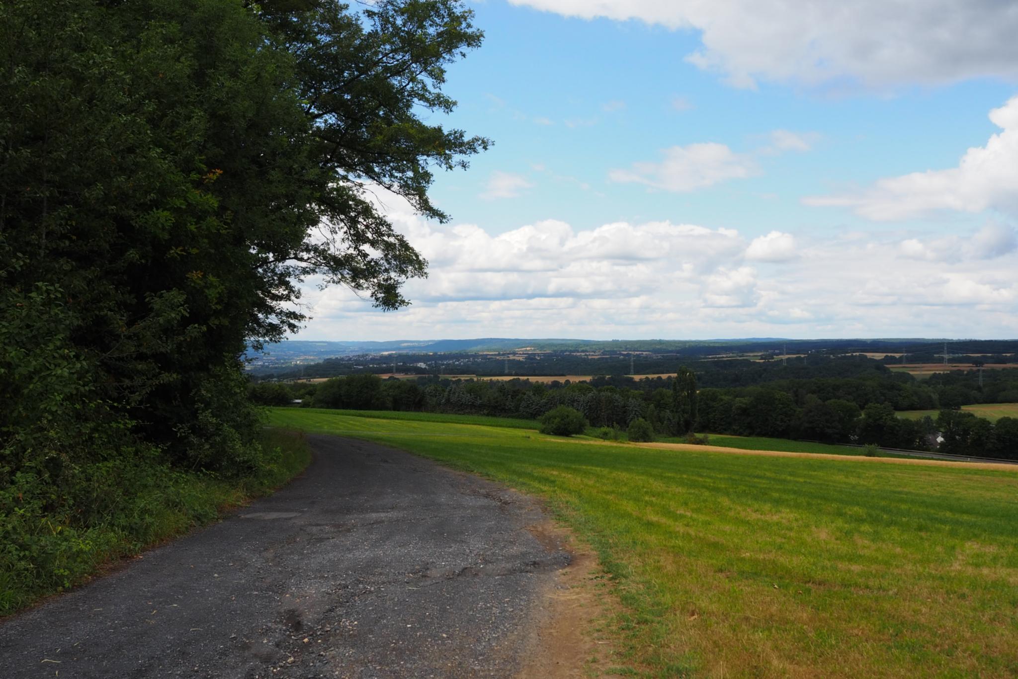 Bäume, Wiese und ein Weg in Arenberg