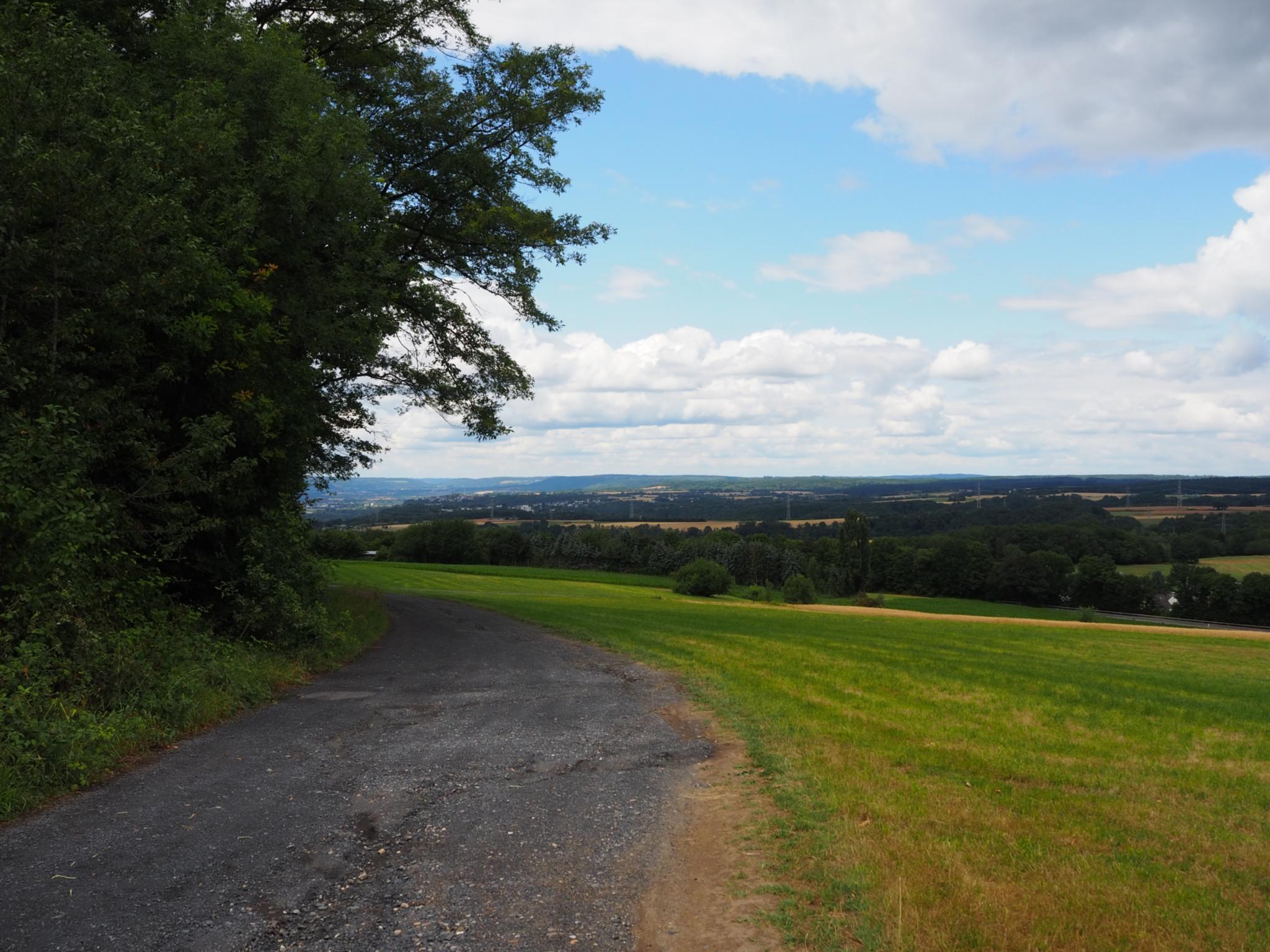 Bäume, Wiese und ein Weg in Arenberg