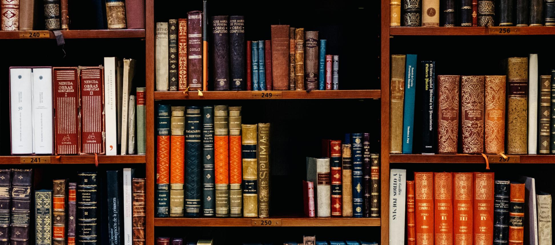 In einem großen Holzregal stehen viele farblich unterschiedliche Bücher