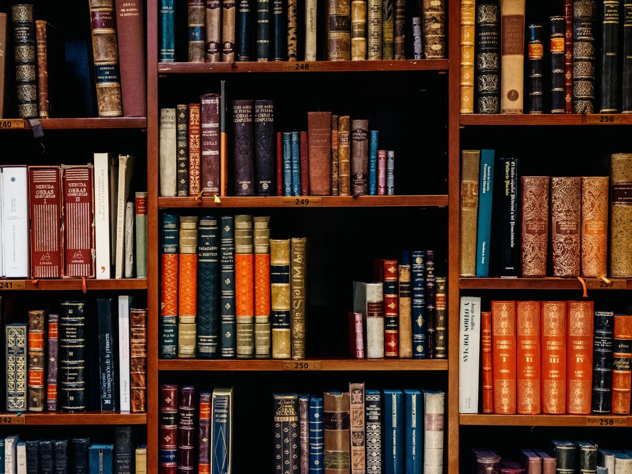 In einem großen Holzregal stehen viele farblich unterschiedliche Bücher
