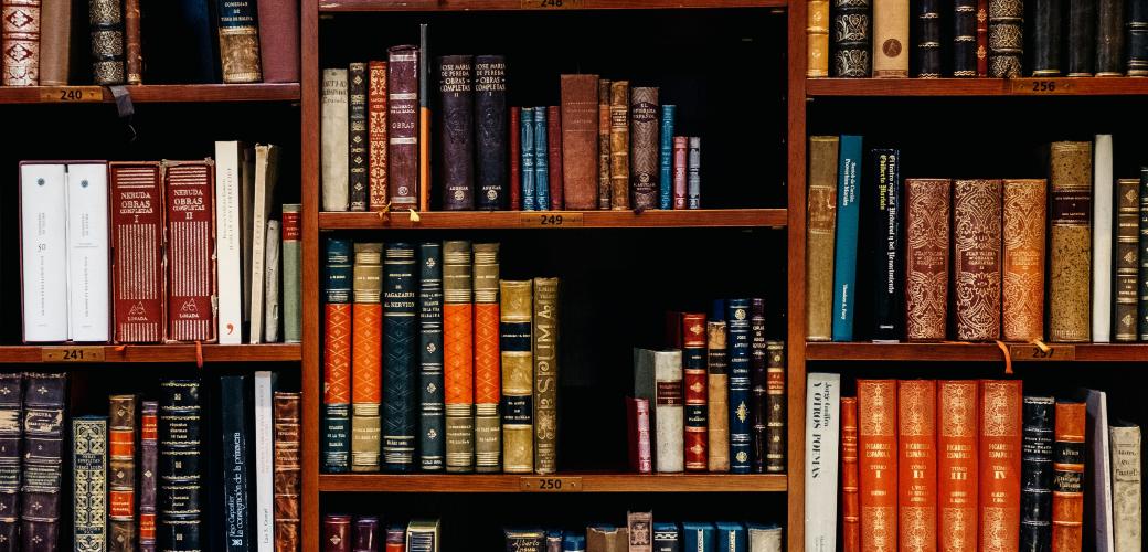 In einem großen Holzregal stehen viele farblich unterschiedliche Bücher