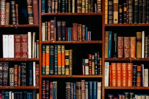 Bücherregal