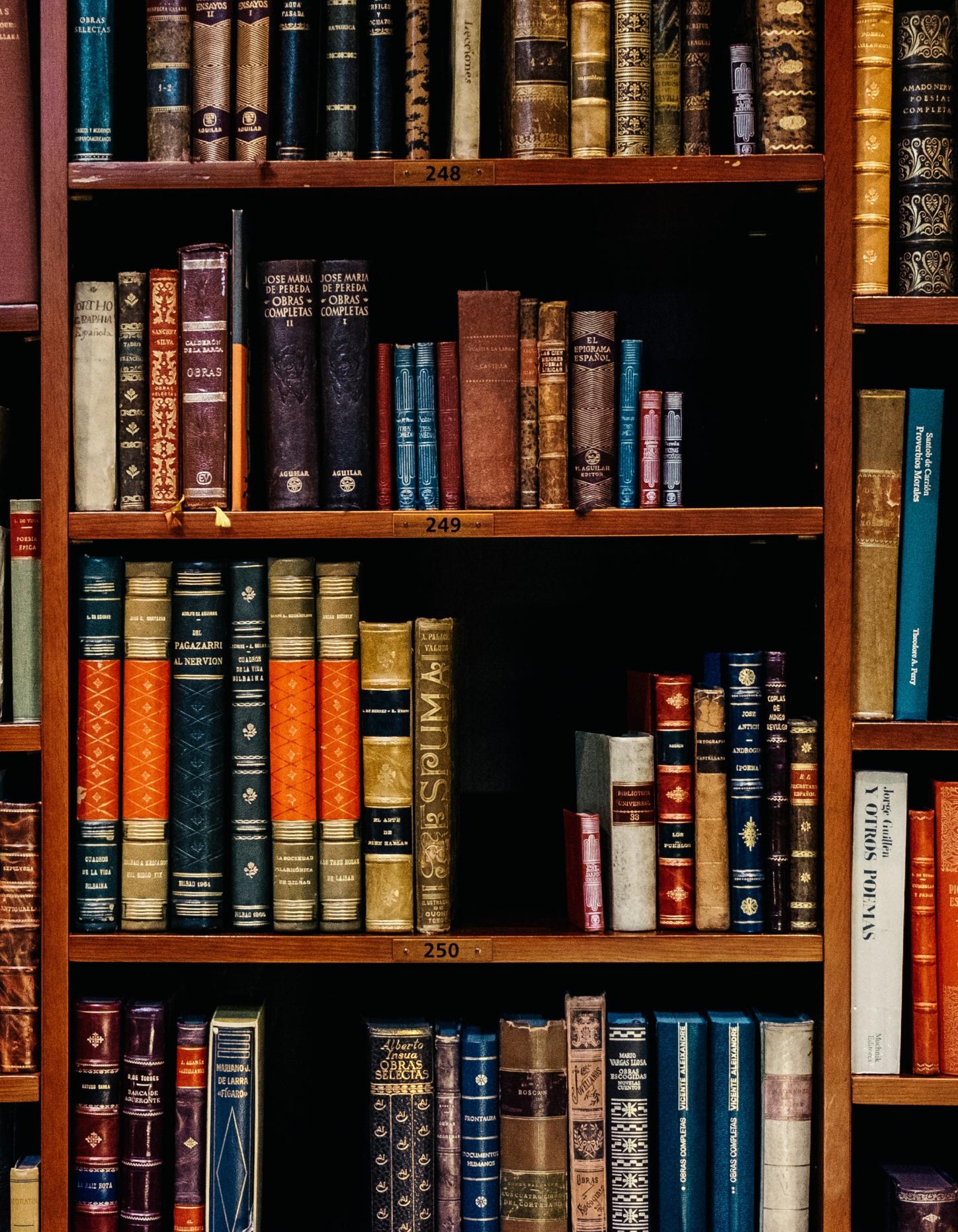 Bücher-inaki-del-olmo-NIJuEQw0RKg-unsplash