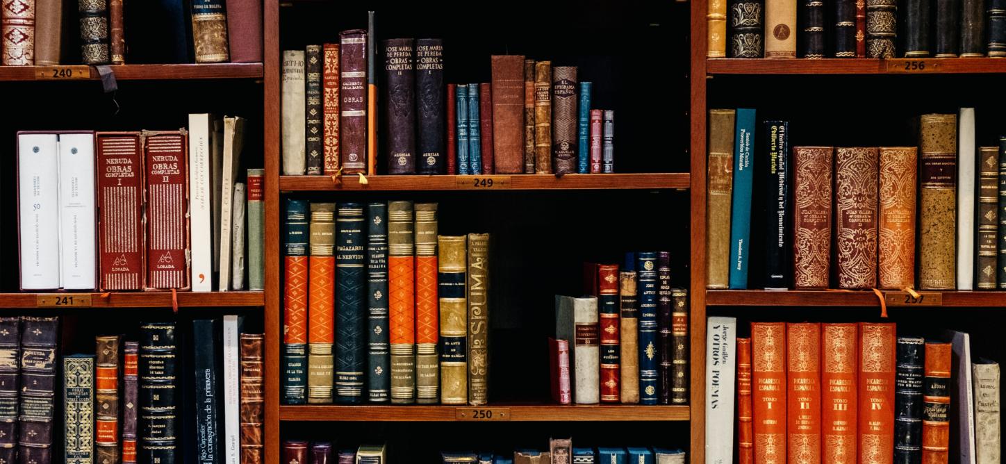 In einem großen Holzregal stehen viele farblich unterschiedliche Bücher