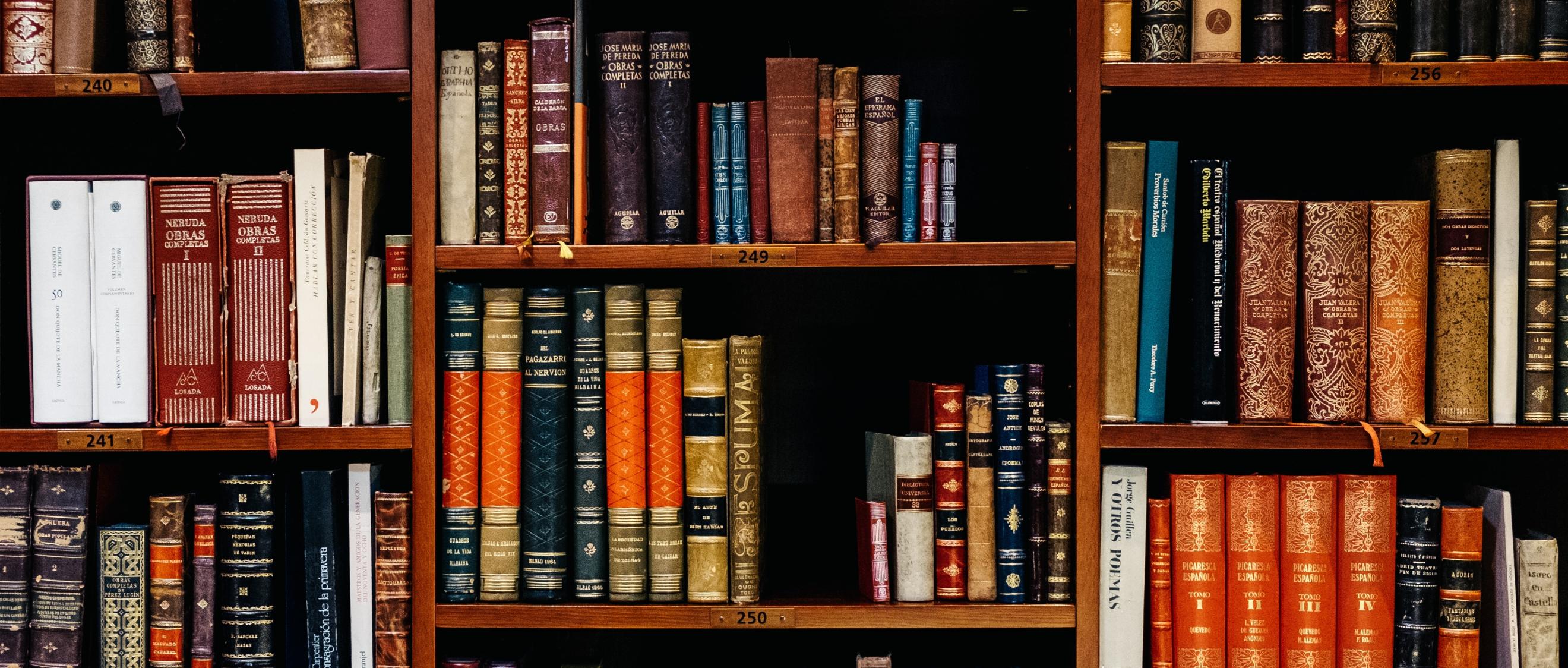In einem großen Holzregal stehen viele farblich unterschiedliche Bücher