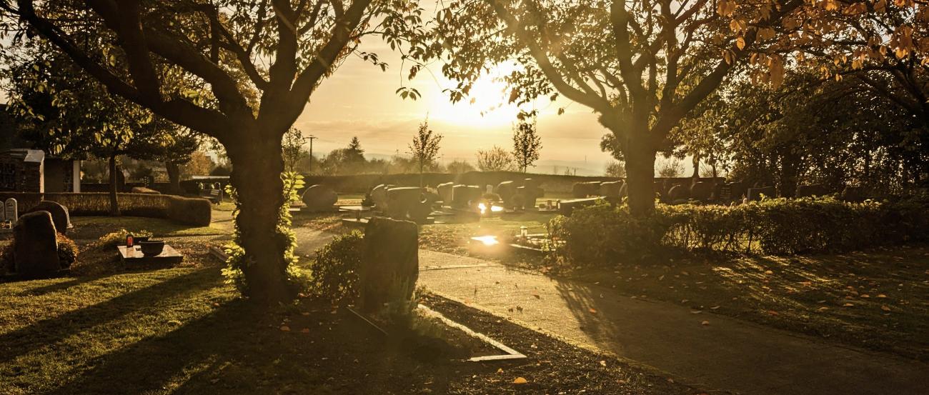 Symbolbild (c) Bistum Trier/Elisabeth Lauderbach Friedhof bei untergehender Sonne und herbstlicher Stimmung