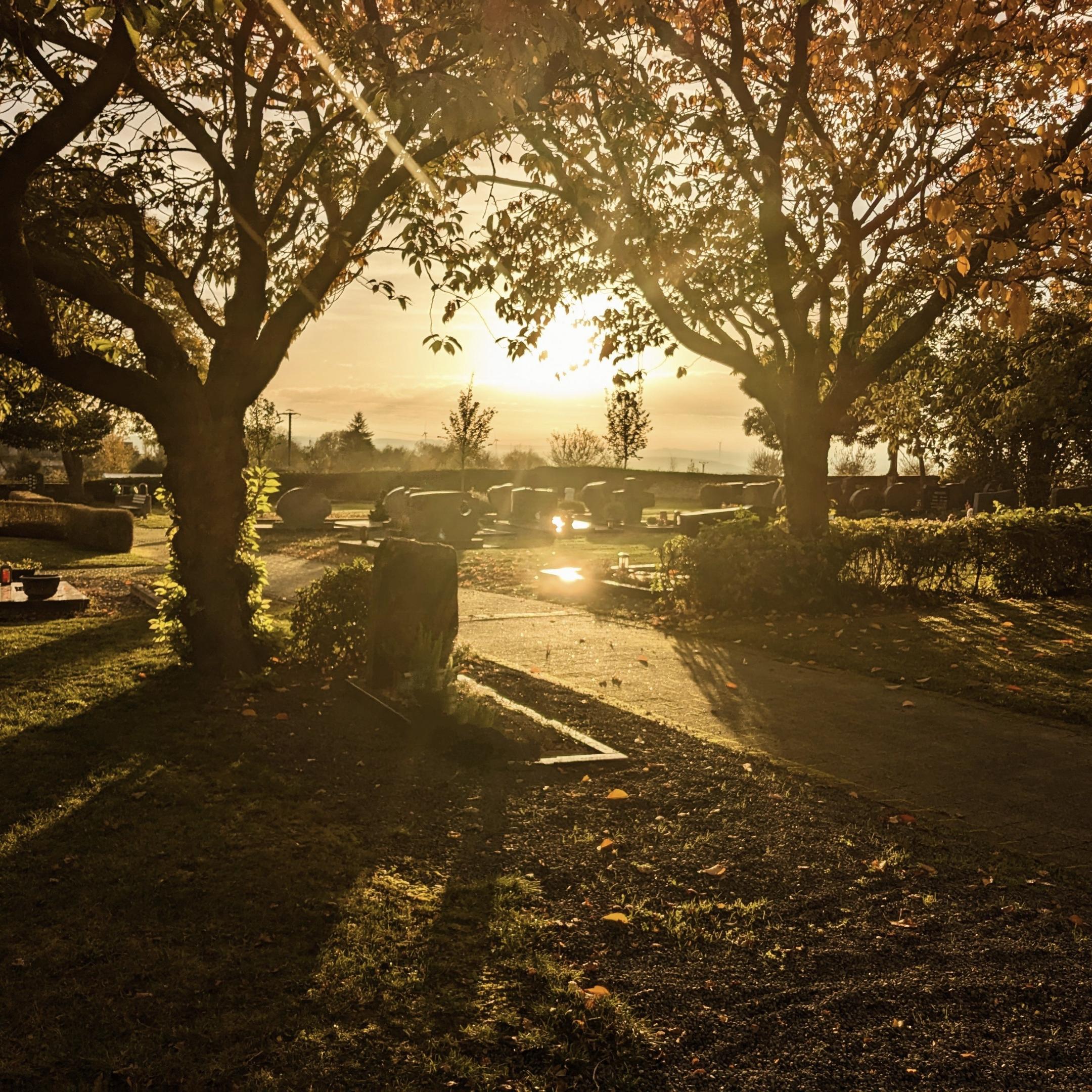 Friedhof bei untergehender Sonne und herbstlicher Stimmung