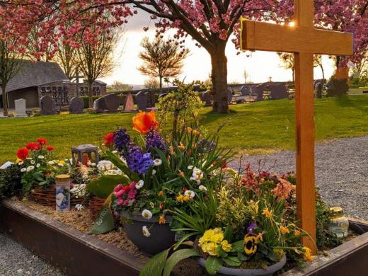 Grab mit Holzkreuz und vielen Frühlingsblumen; im Hintergrund sieht man den friedhof, Wiese und blühende Bäume bei untergehender Sonne