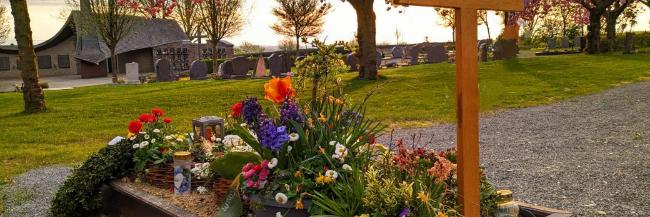 Grab mit Holzkreuz und vielen Frühlingsblumen; im Hintergrund sieht man den friedhof, Wiese und blühende Bäume bei untergehender Sonne