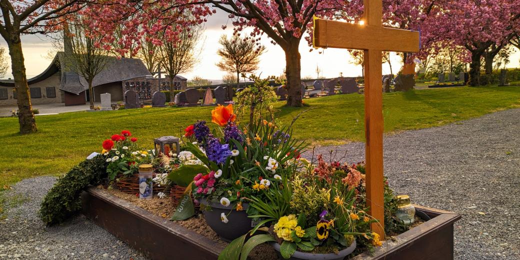 Grab mit Holzkreuz und vielen Frühlingsblumen; im Hintergrund sieht man den friedhof, Wiese und blühende Bäume bei untergehender Sonne