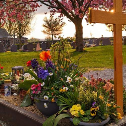 Grab mit Holzkreuz und vielen Frühlingsblumen; im Hintergrund sieht man den friedhof, Wiese und blühende Bäume bei untergehender Sonne