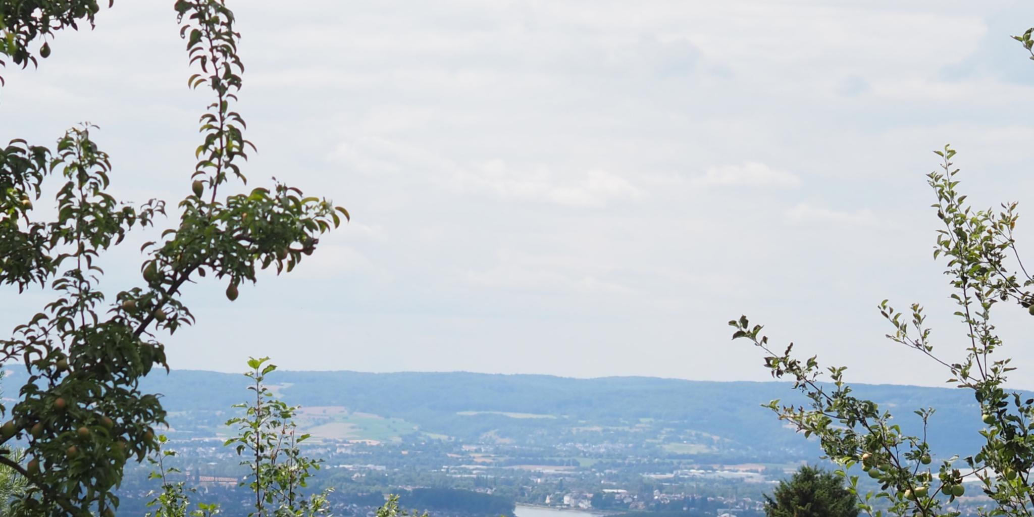Blick auf Koblenz