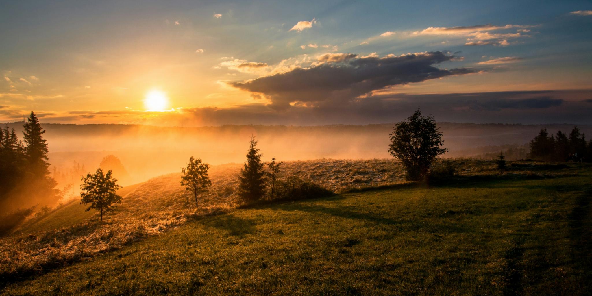 Sonnenaufgang über einer hügeligen grünen Wiese; Nebel liegt auf den Wiesen; die Sonne ist rötlich, der Himmel wird langsam Blau.