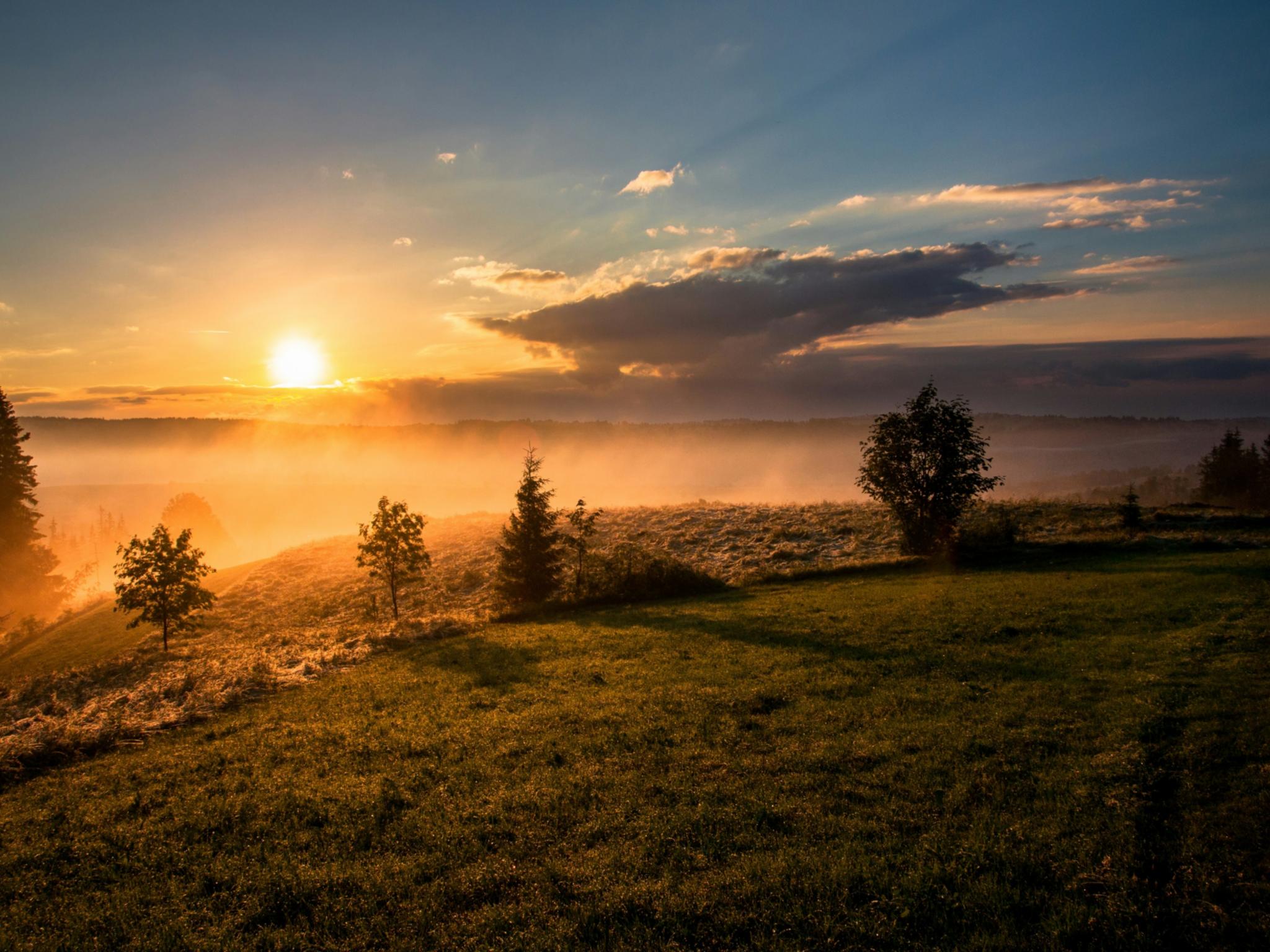 Sonnenaufgang über einer hügeligen grünen Wiese; Nebel liegt auf den Wiesen; die Sonne ist rötlich, der Himmel wird langsam Blau.