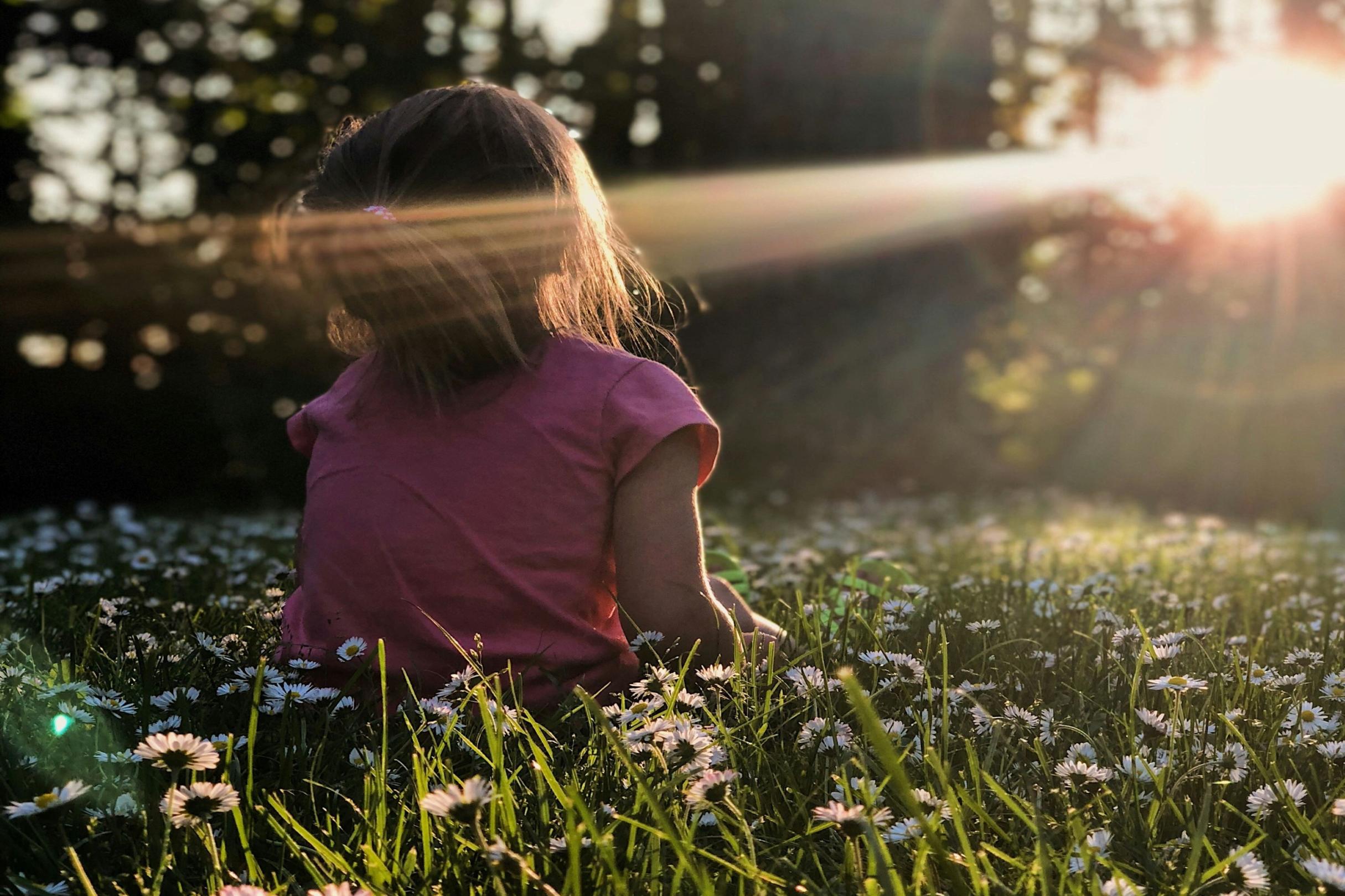 Ein Kind sitzt in einer Wiese mit Gänseblümchen und schaut Richtung Sonne, die zwischen den Bäumen durch scheint