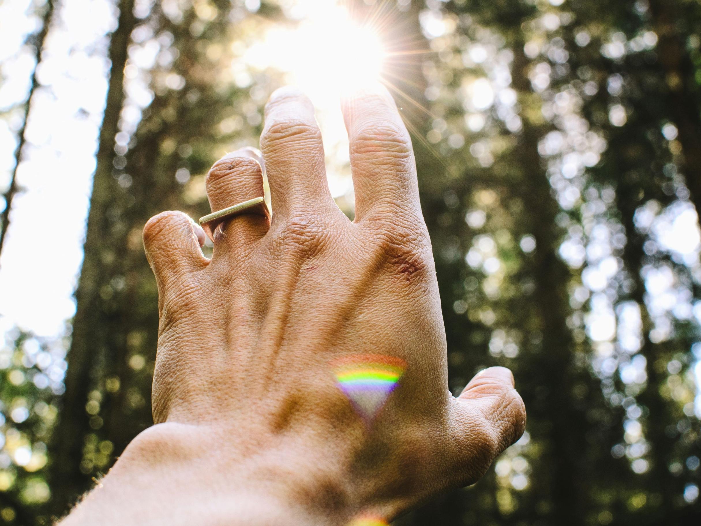 Eine Hand greift nach der Sonne, die durch Bäume scheint