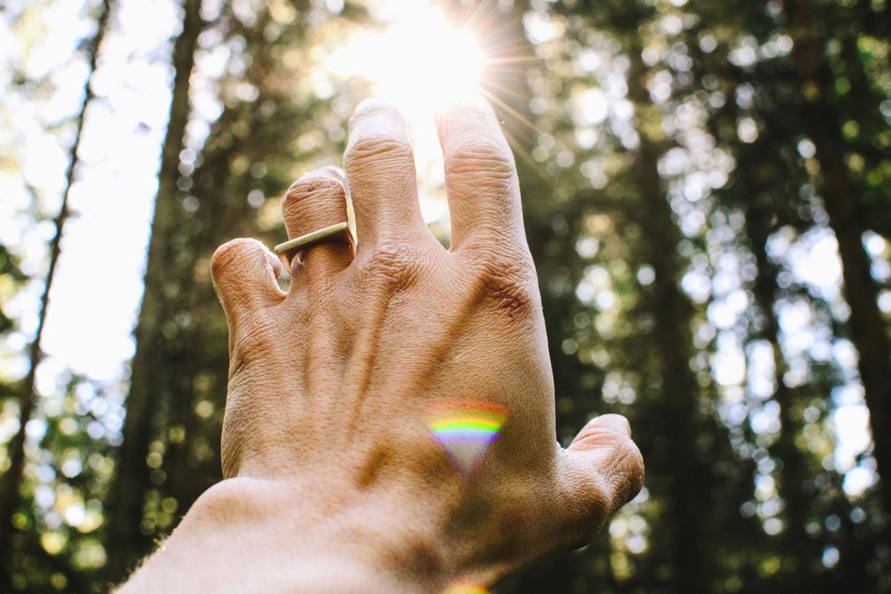 Eine Hand greift nach der Sonne, die durch Bäume scheint