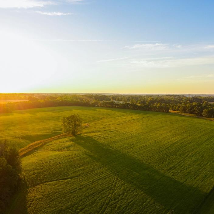 Blick aus der Luft auf eine Wald- und Wiesenlandschaft im Sonnenuntergang