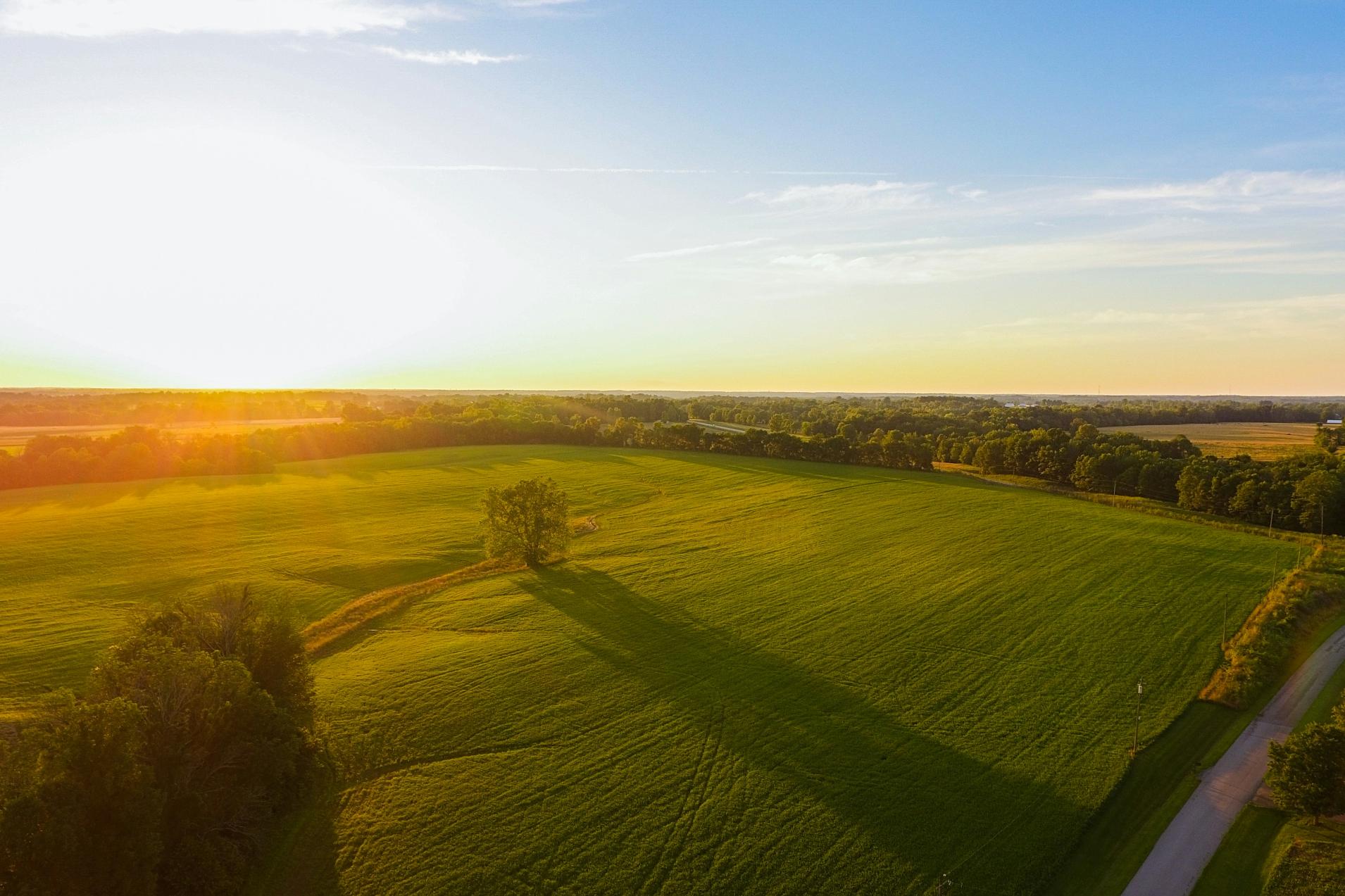 Blick aus der Luft auf eine Wald- und Wiesenlandschaft im Sonnenuntergang