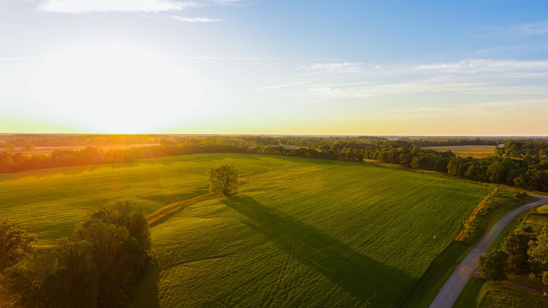 Blick aus der Luft auf eine Wald- und Wiesenlandschaft im Sonnenuntergang