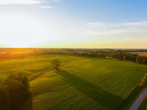 Blick aus der Luft auf eine Wald- und Wiesenlandschaft im Sonnenuntergang