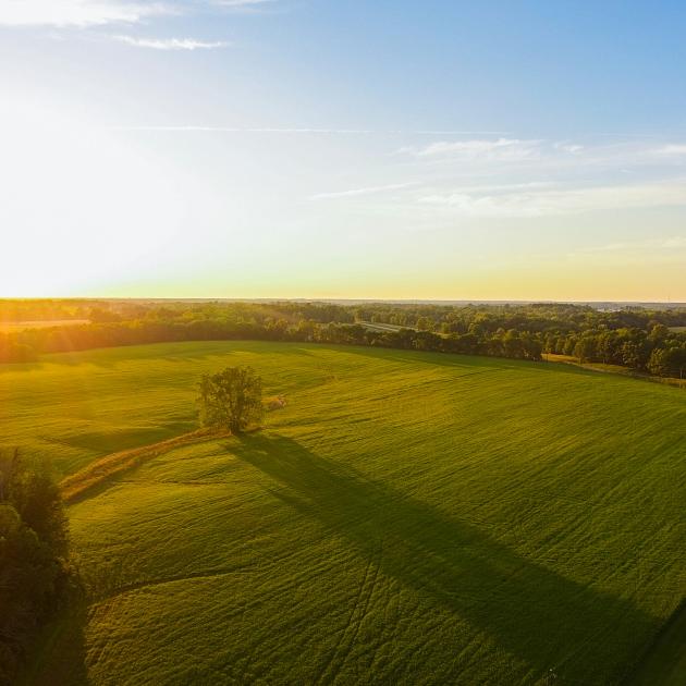 Blick aus der Luft auf eine Wald- und Wiesenlandschaft im Sonnenuntergang