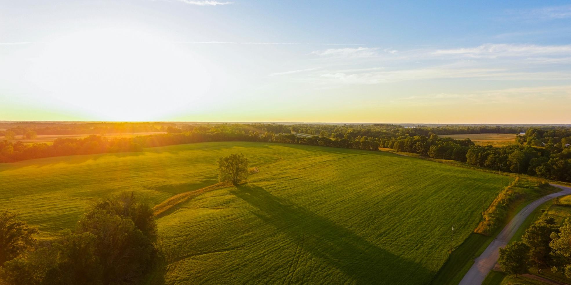 Blick aus der Luft auf eine Wald- und Wiesenlandschaft im Sonnenuntergang