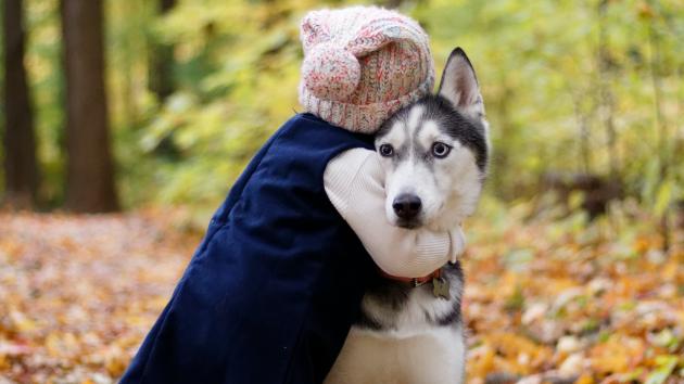 Ein kleines Kind mit Wollmütze umarmt einen Husky