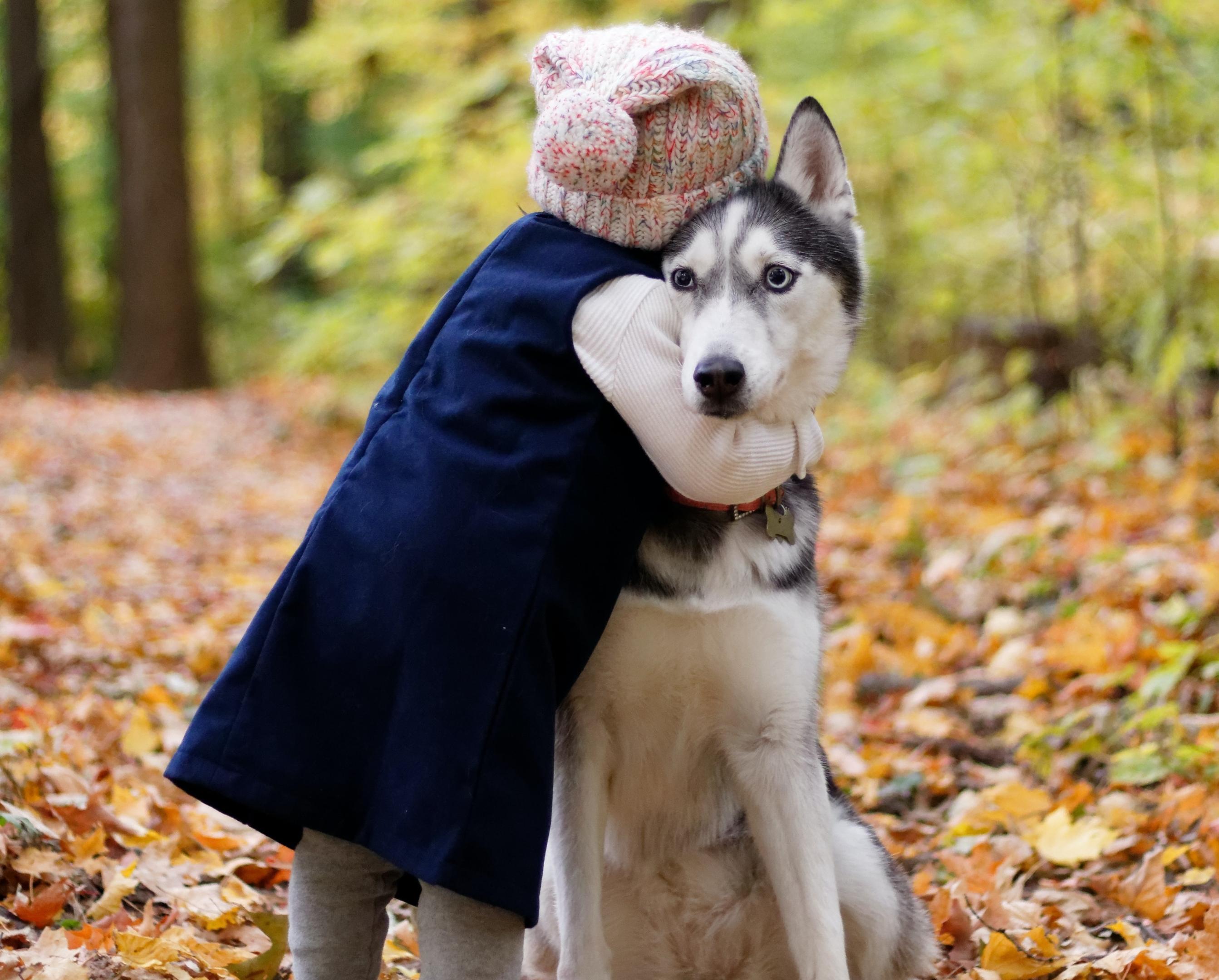 Ein kleines Mädchen mit einer Wollmütze umarmt einen Husky