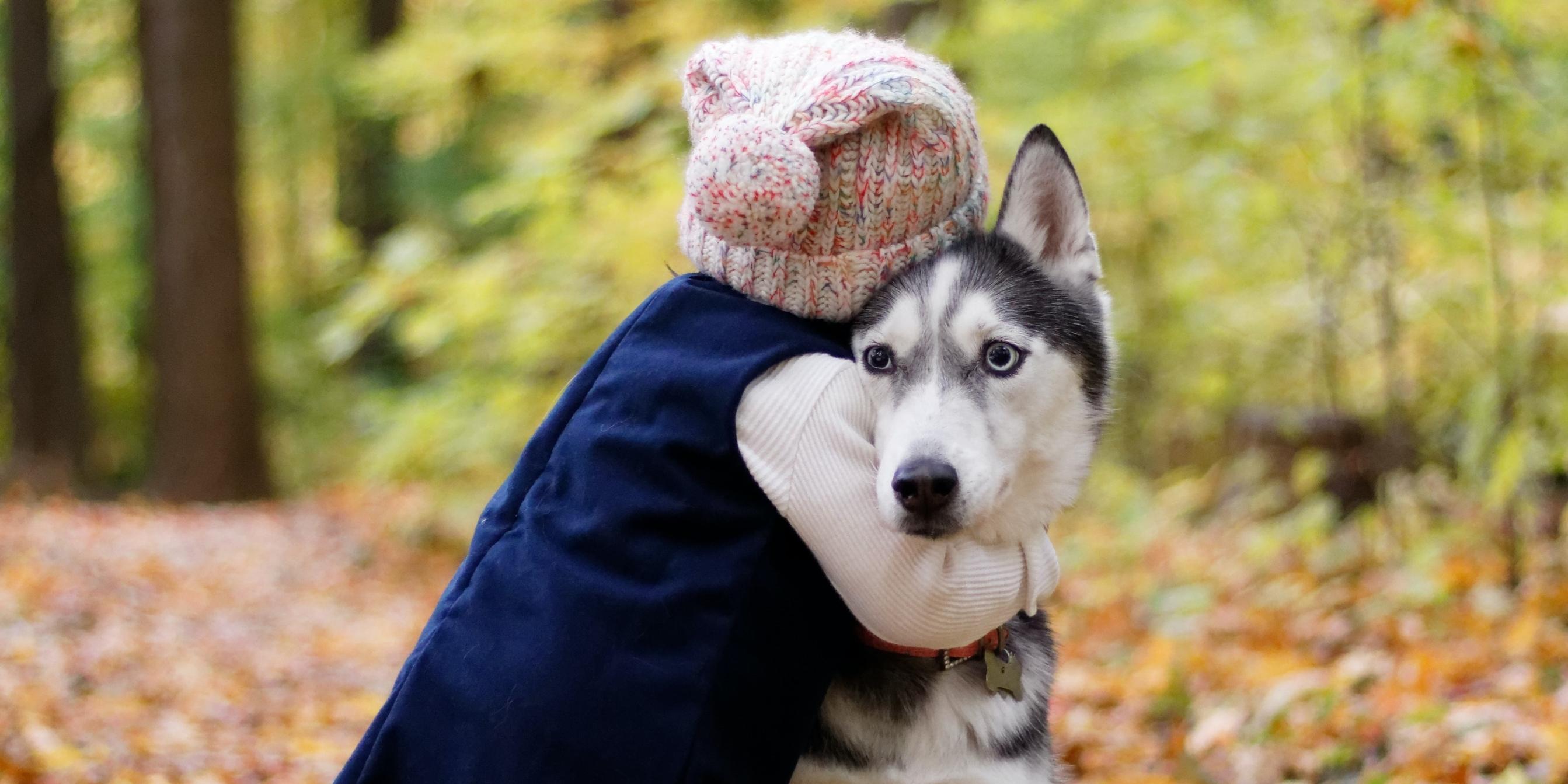 Ein kleines Mädchen mit einer Wollmütze umarmt einen Husky