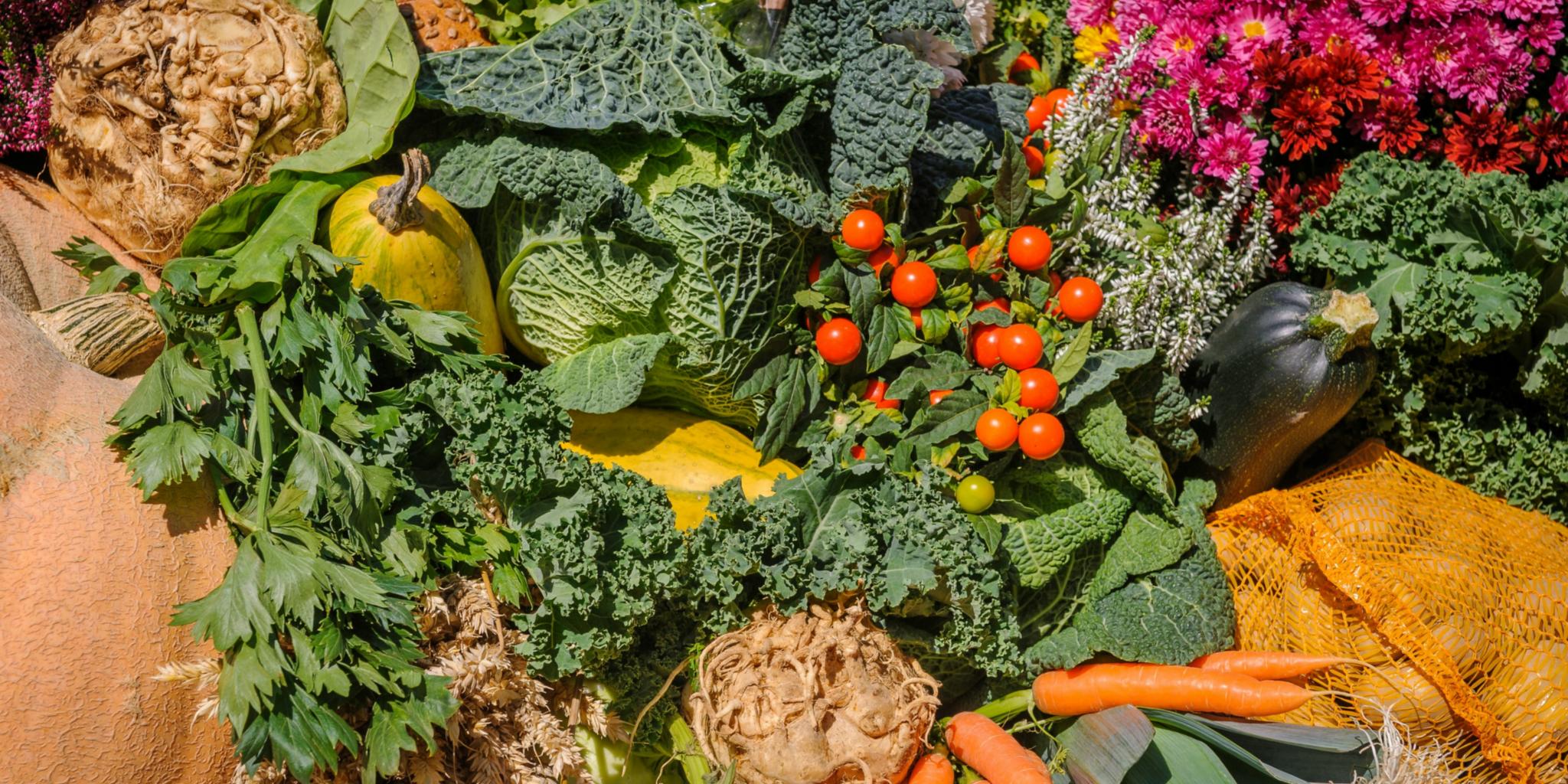 Man sieht Sellerie, Kürbis, Karotten, Lauch, Tomaten, Salat, Kohl, Kartoffeln, Brot und Blumen