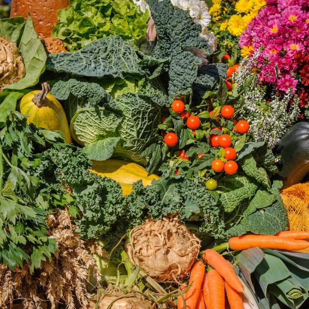 Man sieht Sellerie, Kürbis, Karotten, Lauch, Tomaten, Salat, Kohl, Kartoffeln, Brot und Blumen