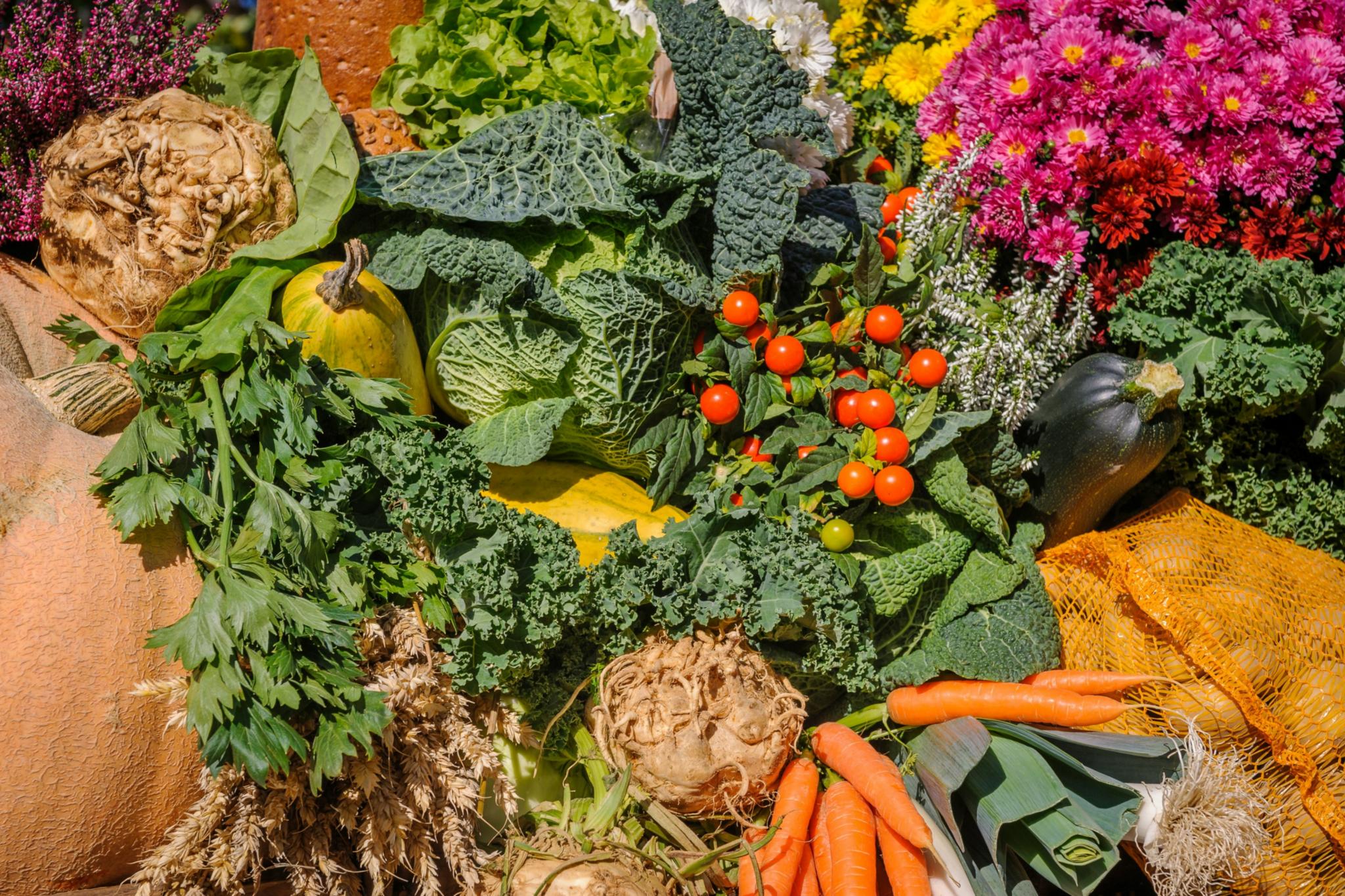 Man sieht Sellerie, Kürbis, Karotten, Lauch, Tomaten, Salat, Kohl, Kartoffeln, Brot und Blumen