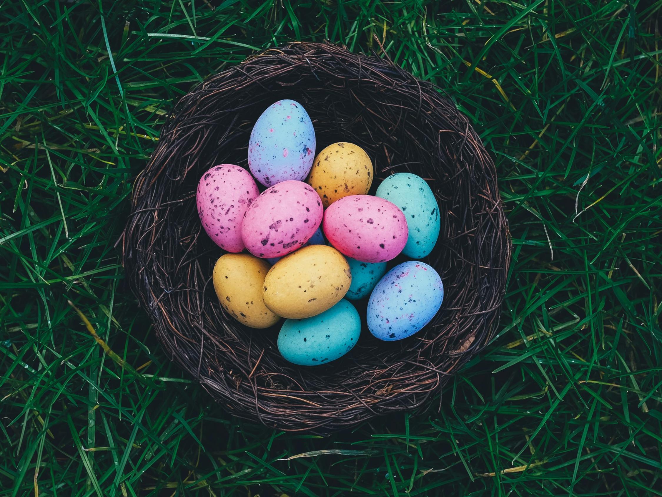 Ein Nest aus kleinen Ästen steht auf einer grünen Wiese. Es ist gefüllt mit bunten Eiern in pink, lila, blau und gelb
