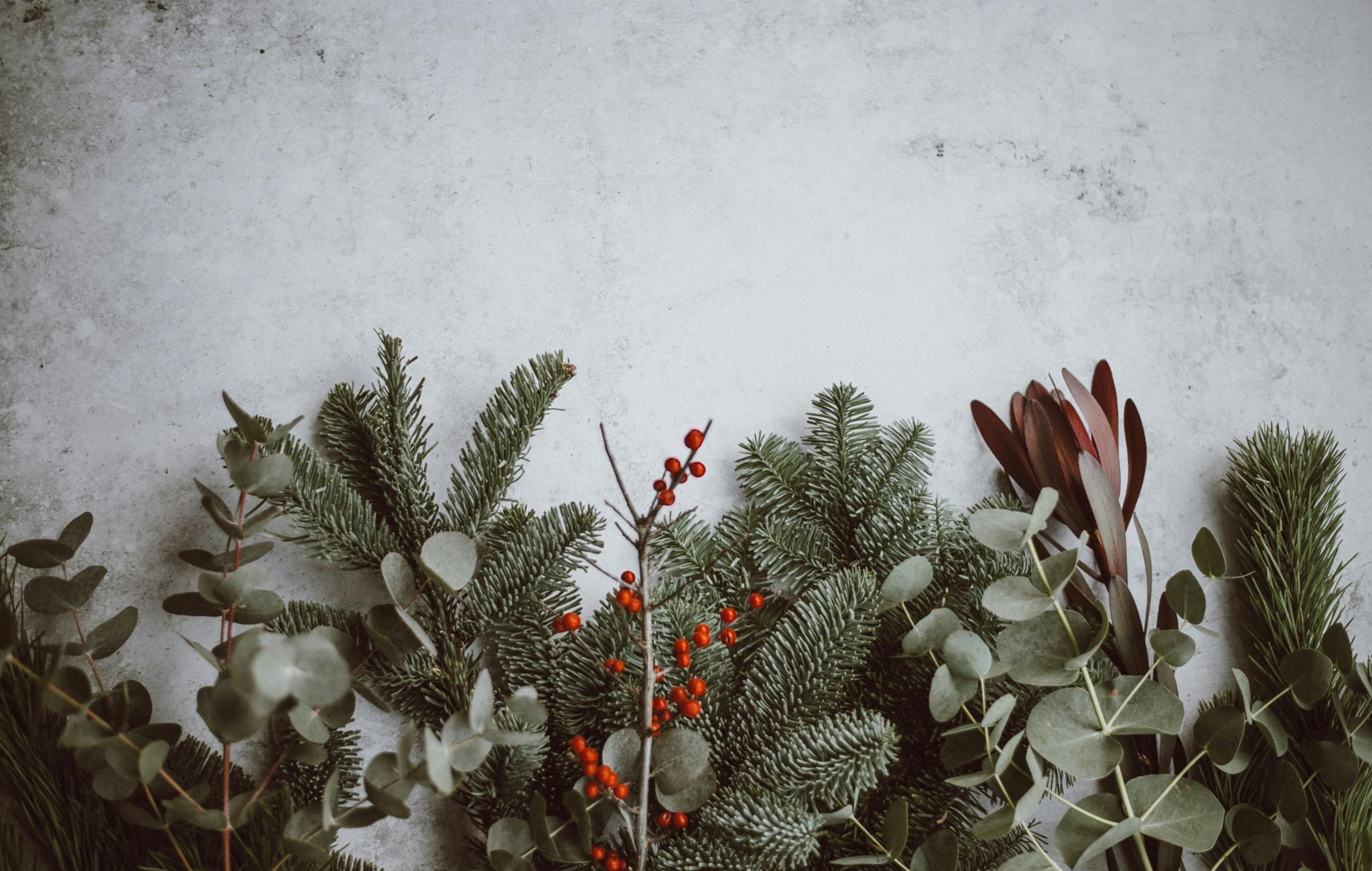 Tannen, Eukalyptus und andere weihnachtliche Pflanzen liegen auf einem Tisch