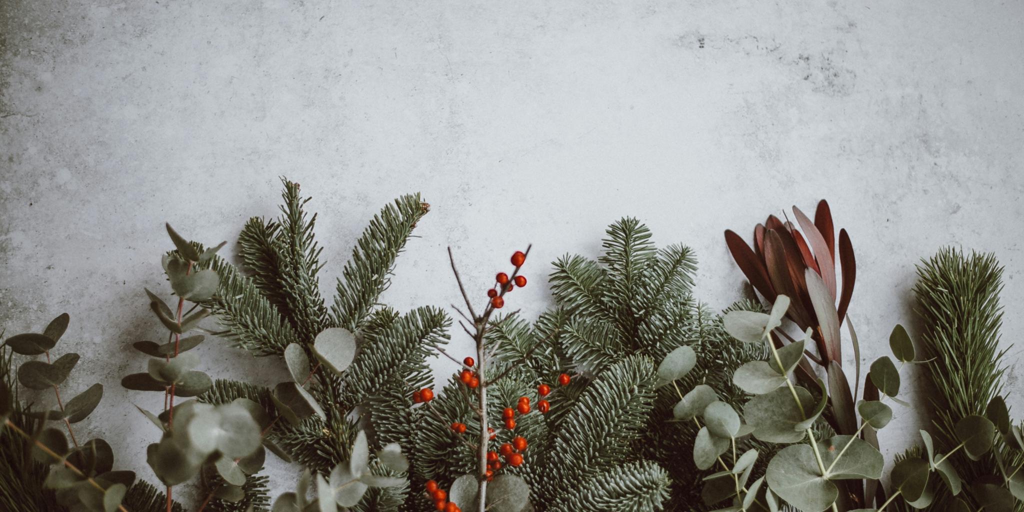 Tannen, Eukalyptus und andere weihnachtliche Pflanzen liegen auf einem Tisch