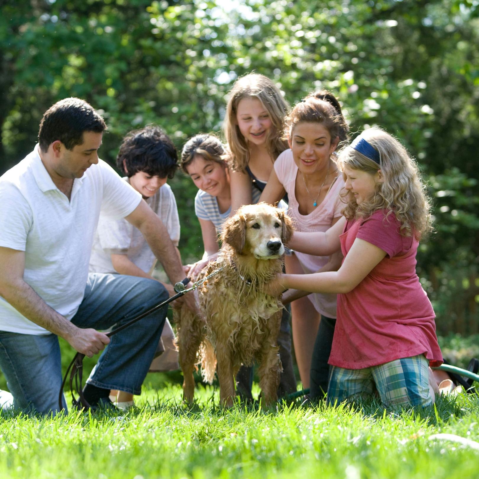 Eine Familie bestehend aus einem Mann, einer Frau, drei Töchtern und einem Sohn sitzen um einen Golden Retriever und waschen ihn mit dem Schlauch