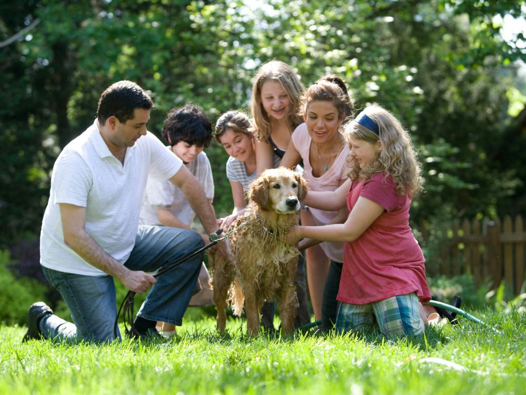 Eine Familie bestehend aus einem Mann, einer Frau, drei Töchtern und einem Sohn sitzen um einen Golden Retriever und waschen ihn mit dem Schlauch